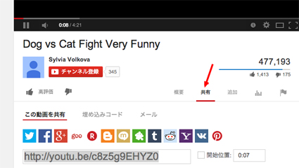 Dog vs Cat Fight Very Funny   YouTubeのコピー